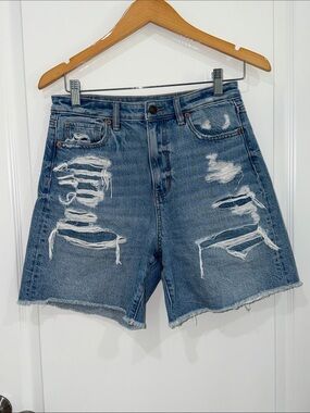 American Eagle relaxed mom short High-Rise Distressed Denim Shorts - Blue 4